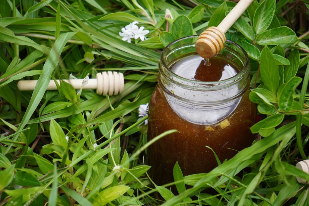 Greece’s Honey Vs. America’s High-Fructose Corn&nbsp;Syrup